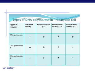 Comprehensive Overview of DNA Replication Mechanisms and Enzymes in AP ...