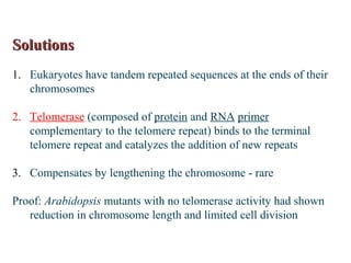 SolutionsSolutions
1. Eukaryotes have tandem repeated sequences at the ends of their
chromosomes
2. Telomerase (composed of protein and RNA primer
complementary to the telomere repeat) binds to the terminal
telomere repeat and catalyzes the addition of new repeats
3. Compensates by lengthening the chromosome - rare
Proof: Arabidopsis mutants with no telomerase activity had shown
reduction in chromosome length and limited cell division
 