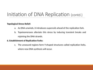 DNA Replication Mechanism Enzymes and Significance.pptx