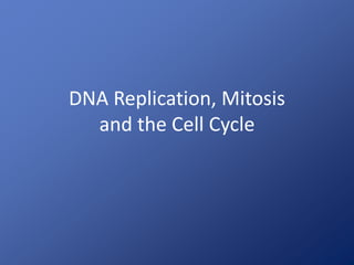DNA Replication, Mitosis
and the Cell Cycle
 