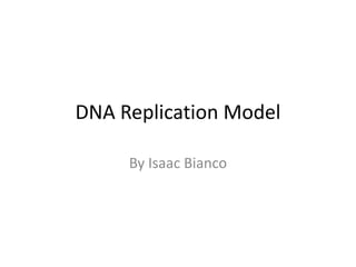 DNA Replication Model
By Isaac Bianco

 