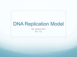 DNA Replication Model
By: Jessica Kerr
Pd. 1+2

 