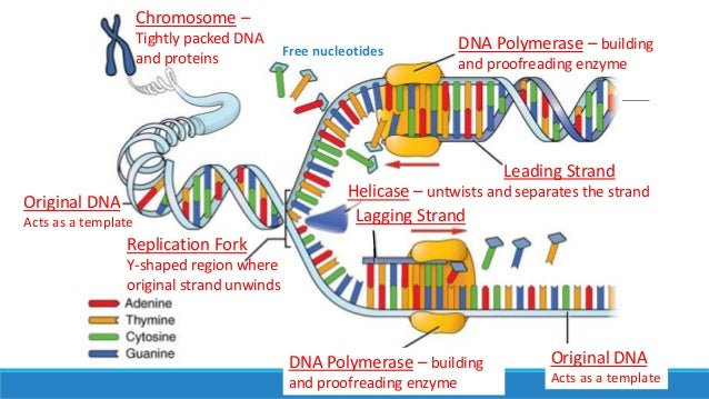 read Biomimetic Materials And Design: Biointerfacial Strategies, Tissue Engineering And Targeted Drug