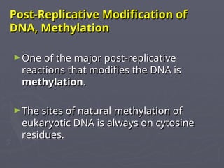 Post Replicative Modification DNA replication (P4) (2) (1).ppt........ | PPT