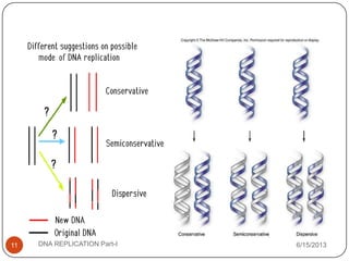 6/15/2013DNA REPLICATION Part-I11
 