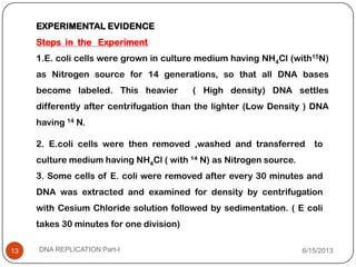 EXPERIMENTAL EVIDENCE
Steps in the Experiment
1.E. coli cells were grown in culture medium having NH4Cl (with15N)
as Nitrogen source for 14 generations, so that all DNA bases
become labeled. This heavier ( High density) DNA settles
differently after centrifugation than the lighter (Low Density ) DNA
having 14 N.
2. E.coli cells were then removed ,washed and transferred to
culture medium having NH4Cl ( with 14 N) as Nitrogen source.
3. Some cells of E. coli were removed after every 30 minutes and
DNA was extracted and examined for density by centrifugation
with Cesium Chloride solution followed by sedimentation. ( E coli
takes 30 minutes for one division)
6/15/2013DNA REPLICATION Part-I13
 