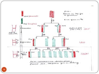 6/15/2013DNA REPLICATION Part-I16
 