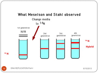 6/15/2013DNA REPLICATION Part-I19
15 N
Hybrid
14 N
 
