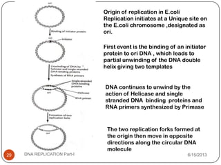 Origin of replication in E.coli
Replication initiates at a Unique site on
the E.coli chromosome ,designated as
ori.
First event is the binding of an initiator
protein to ori DNA , which leads to
partial unwinding of the DNA double
helix giving two templates
DNA continues to unwind by the
action of Helicase and single
stranded DNA binding proteins and
RNA primers synthesized by Primase
The two replication forks formed at
the origin then move in opposite
directions along the circular DNA
molecule
6/15/2013DNA REPLICATION Part-I29
 