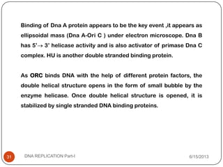 Binding of Dna A protein appears to be the key event ,it appears as
ellipsoidal mass (Dna A-Ori C ) under electron microscope. Dna B
has 5’ 3’ helicase activity and is also activator of primase Dna C
complex. HU is another double stranded binding protein.
As ORC binds DNA with the help of different protein factors, the
double helical structure opens in the form of small bubble by the
enzyme helicase. Once double helical structure is opened, it is
stabilized by single stranded DNA binding proteins.
6/15/2013DNA REPLICATION Part-I31
 