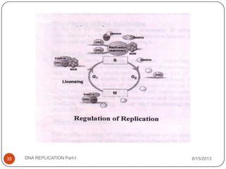 6/15/2013DNA REPLICATION Part-I35
 