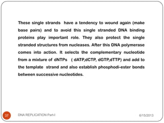 These single strands have a tendency to wound again (make
base pairs) and to avoid this single stranded DNA binding
proteins play important role. They also protect the single
stranded structures from nucleases. After this DNA polymerase
comes into action. It selects the complementary nucleotide
from a mixture of dNTPs ( dATP,dCTP, dGTP,dTTP) and add to
the template strand and also establish phosphodi-ester bonds
between successive nucleotides.
6/15/2013DNA REPLICATION Part-I37
 