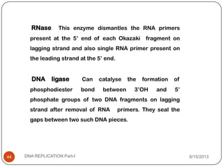 RNase This enzyme dismantles the RNA primers
present at the 5’ end of each Okazaki fragment on
lagging strand and also single RNA primer present on
the leading strand at the 5’ end.
DNA ligase Can catalyse the formation of
phosphodiester bond between 3’OH and 5’
phosphate groups of two DNA fragments on lagging
strand after removal of RNA primers. They seal the
gaps between two such DNA pieces.
6/15/2013DNA REPLICATION Part-I44
 