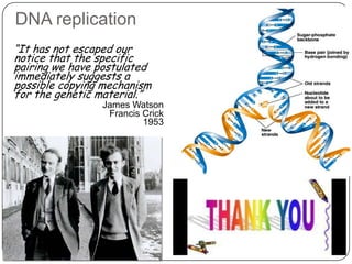 DNA replication
“It has not escaped our
notice that the specific
pairing we have postulated
immediately suggests a
possible copying mechanism
for the genetic material.”
James Watson
Francis Crick
1953
 