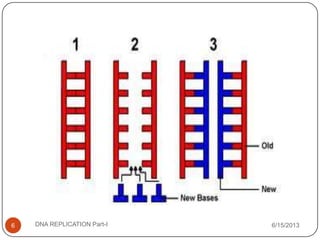 6/15/2013DNA REPLICATION Part-I6
 