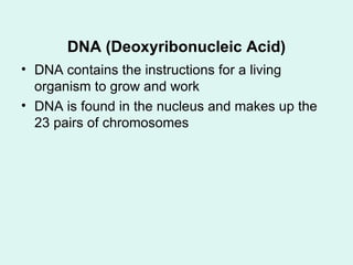 [object Object],[object Object],DNA (Deoxyribonucleic Acid) 