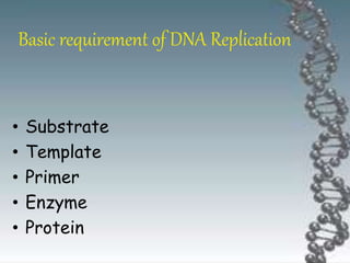 Basic requirement of DNA Replication
• Substrate
• Template
• Primer
• Enzyme
• Protein
 