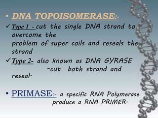 • DNA TOPOISOMERASE:-
Type 1 - cut the single DNA strand to
overcome the
problem of super coils and reseals the
strand
Type 2- also known as DNA GYRASE
-cut both strand and
reseal.
• PRIMASE:- a specific RNA Polymerase
produce a RNA PRIMER.
 