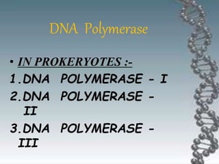 • IN PROKERYOTES :-
1.DNA POLYMERASE - I
2.DNA POLYMERASE -
II
3.DNA POLYMERASE -
III
DNA Polymerase
 