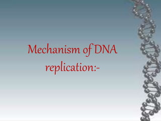 Mechanism of DNA
replication:-
 