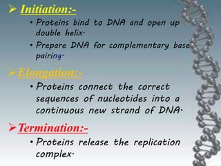  Initiation:-
• Proteins bind to DNA and open up
double helix.
• Prepare DNA for complementary base
pairing.
Elongation:-
• Proteins connect the correct
sequences of nucleotides into a
continuous new strand of DNA.
Termination:-
• Proteins release the replication
complex.
 