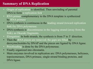 • Origin of replication is identified. Then unwinding of parental
DNA to form a replication fork.
• RNA primer complementary to the DNA template is synthesized
by RNA primase.
• DNA synthesis is continuous in the leading strand (toward replication
fork) by DNA polymerase.
• DNA synthesis is discontinuous in the lagging strand (away from the
fork), as Okazaki fragments.
• Elongation: In both strands, the synthesis is from 5' to 3‘ direction.
• Then the RNA pieces are removed; the gaps are filled by
deoxynucleotides by DNAP and the pieces are ligated by DNA ligase.
• Proofreading is done by the DNA polymerase.
• Finally organized into chromatin.
• Main enzymes involved in replication are: DNA polymerases, helicases,
topoisomerases, DNA primase, single-strand binding proteins, and
DNA ligase.
Summary of DNA Replication
 