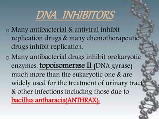 DNA INHIBITORS
o Many antibacterial & antiviral inhibit
replication drugs & many chemotherapeutic
drugs inhibit replication.
o Many antibacterial drugs inhibit prokaryotic
enzymes, topoisomerase II (DNA gyrase)
much more than the eukaryotic one & are
widely used for the treatment of urinary tract
& other infections including those due to
bacillus antharacis(ANTHRAX).
 