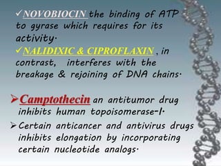 Camptothecin an antitumor drug
inhibits human topoisomerase-I.
Certain anticancer and antivirus drugs
inhibits elongation by incorporating
certain nucleotide analogs.
NOVOBIOCIN the binding of ATP
to gyrase which requires for its
activity.
NALIDIXIC & CIPROFLAXIN , in
contrast, interferes with the
breakage & rejoining of DNA chains.
 
