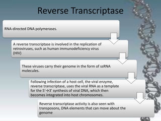 Reverse Transcriptase
RNA-directed DNA polymerases.
A reverse transcriptase is involved in the replication of
retroviruses, such as human immunodeficiency virus
(HIV)
These viruses carry their genome in the form of ssRNA
molecules.
Following infection of a host cell, the viral enzyme,
reverse transcriptase, uses the viral RNA as a template
for the 5'→3' synthesis of viral DNA, which then
becomes integrated into host chromosomes.
Reverse transcriptase activity is also seen with
transposons, DNA elements that can move about the
genome
 