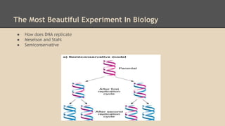 Dna replication project Middle school | PPTX