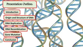 Dna replication recombination | PPTX