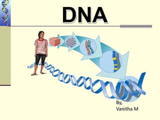 DNA
By,
Vanitha M
 