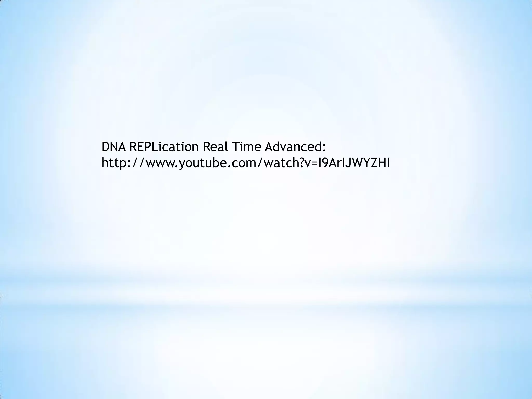 DNA REPLication Real Time Advanced:
http://www.youtube.com/watch?v=I9ArIJWYZHI
 