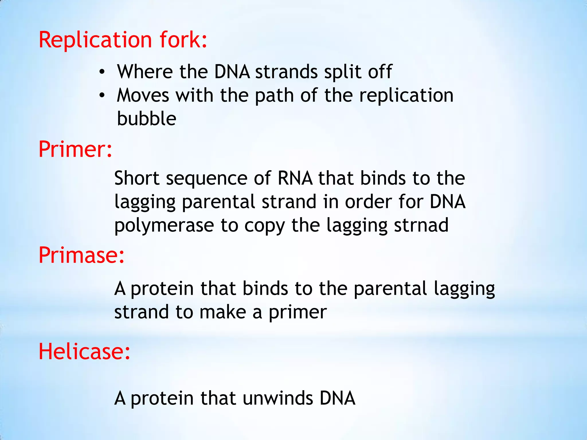 Replication fork:
      • Where the DNA strands split off
      • Moves with the path of the replication
        bubble
Primer:
          Short sequence of RNA that binds to the
          lagging parental strand in order for DNA
          polymerase to copy the lagging strnad
Primase:
          A protein that binds to the parental lagging
          strand to make a primer

Helicase:
          A protein that unwinds DNA
 