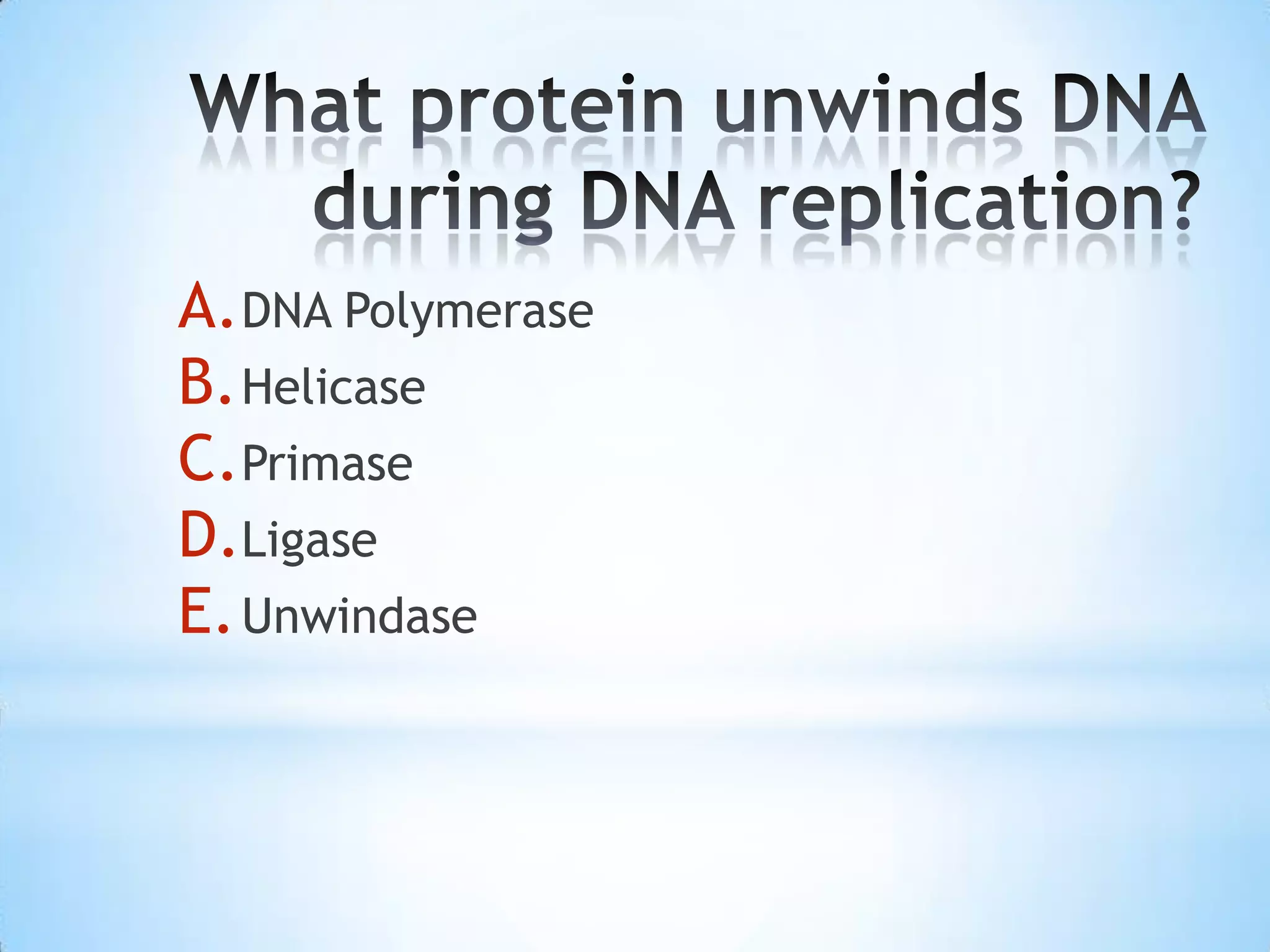 A. DNA Polymerase
B. Helicase
C.Primase
D.Ligase
E. Unwindase
 