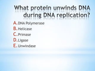 A. DNA Polymerase
B. Helicase
C.Primase
D.Ligase
E. Unwindase
 