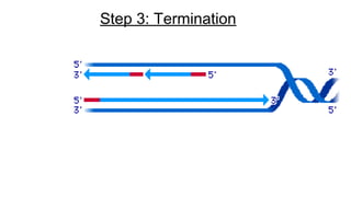 Step 3: Termination
 