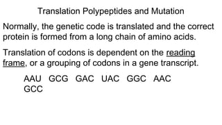 Normally, the genetic code is translated and the correct
protein is formed from a long chain of amino acids.
Translation of codons is dependent on the reading
frame, or a grouping of codons in a gene transcript.
AAU GCG GAC UAC GGC AAC
GCC
Translation Polypeptides and Mutation
 