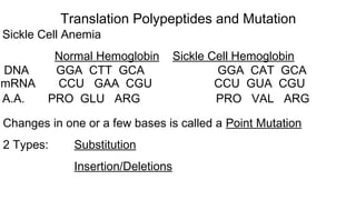 Sickle Cell Anemia
Normal Hemoglobin Sickle Cell Hemoglobin
DNA GGA CTT GCA GGA CAT GCA
mRNA CCU GAA CGU CCU GUA CGU
A.A. PRO GLU ARG PRO VAL ARG
Changes in one or a few bases is called a Point Mutation
2 Types: Substitution
Insertion/Deletions
Translation Polypeptides and Mutation
 