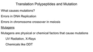 What causes mutations?
Errors in DNA Replication
Errors in chromosome crossover in meiosis
Mutagens
Mutagens are physical or chemical factors that cause mutations
UV Radiation, X-Rays
Chemicals like DDT
Translation Polypeptides and Mutation
 