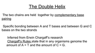 The two chains are held together by complementary base
pairing
Specific bonding between A and T bases and between G and C
bases on the two strands
Inferred from Erwin Chargaff’s research
Chargaff’s Rules state that in any organisms genome the
amount of A = T and the amount of C = G.
The Double Helix
 