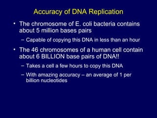 Dna replication, transcription and translation | PPT