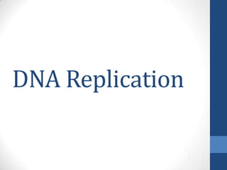 DNA Replication
 