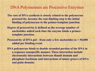 The rate of DNA synthesis is closely related to the polymerase
processivity, because the rate-limiting step is the initial
binding of polymerase to the primer-template junction.
Degree of processivity is defined as the average number of
nucleotides added each time the enzyme binds a primer-
template junction.
Processivity of DNA pol – from only a few nucleotides to > 50,000
added per binding event.
DNA polymerase binds to double stranded portion of the DNA in
a sequence nonspecific manner. These interaction include
electrostatic interactions between thumb domain and
phosphate backbone and interactions of minor groove of DNA
and palm domain.
DNA Polymerases are Processive Enzymes
 