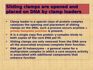 Sliding clamps are opened and
Sliding clamps are opened and
placed on DNA by clamp loaders
placed on DNA by clamp loaders
Sliding clamps are opened and
Sliding clamps are opened and
placed on DNA by clamp loaders
placed on DNA by clamp loaders
 Clamp loader is a special class of protein complex
catalyzes the opening and placement of sliding
clamps on the DNA, such a process occurs anytime a
primer:template junction is present.
 It is a single copy five protein γ-complex binds to
both copies of the core DNA pol III.
 Sliding clamps are only removed from the DNA once
all the associated enzymes complete their function.
 DNA pol III holoenzyme – a general name for a
multiprotein complex in which a core enzyme activity
is associated with additional components that
enhance function
 