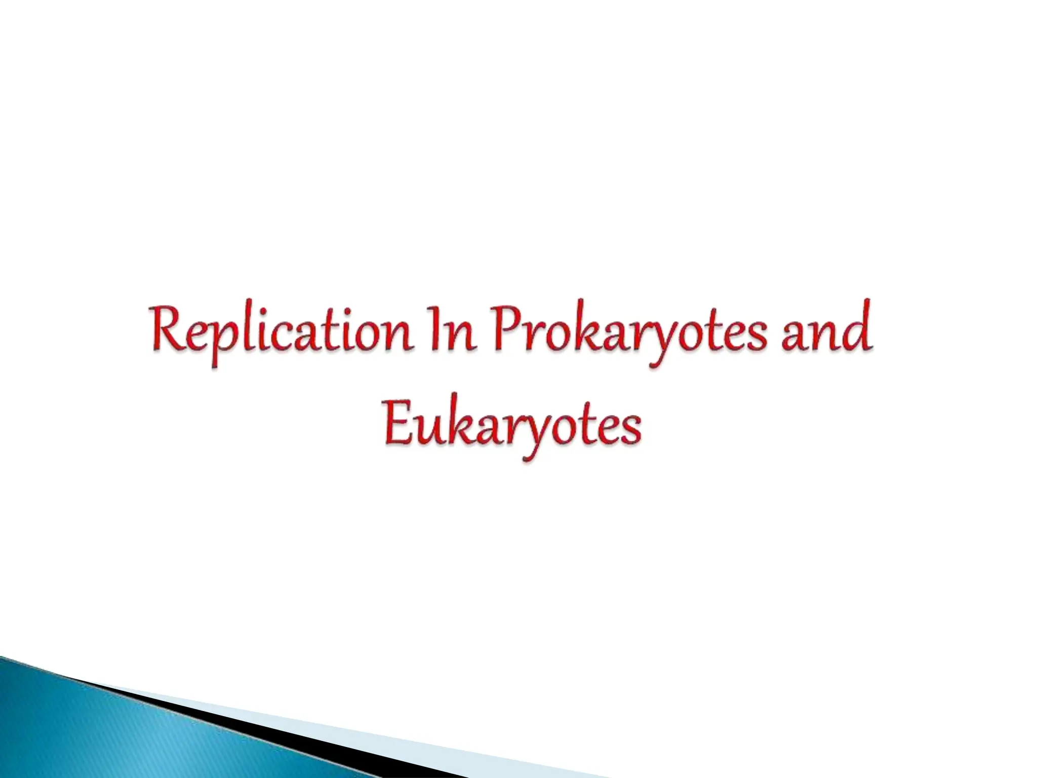 Dna Replication In Prokaryotes And Eukaryotes Pptx