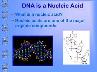 DNA is a Nucleic Acid
What is a nucleic acid?
Nucleic acids are one of the major
organic compounds.
 