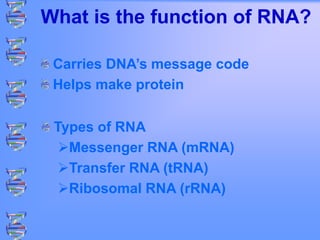 What is the function of RNA?
Carries DNA’s message code
Helps make protein
Types of RNA
Messenger RNA (mRNA)
Transfer RNA (tRNA)
Ribosomal RNA (rRNA)
 