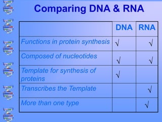 DNA RNA-101.ppt