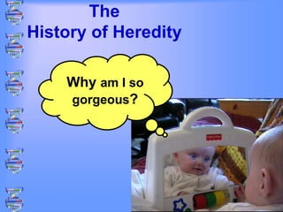 The
History of Heredity
Why am I so
gorgeous?
 